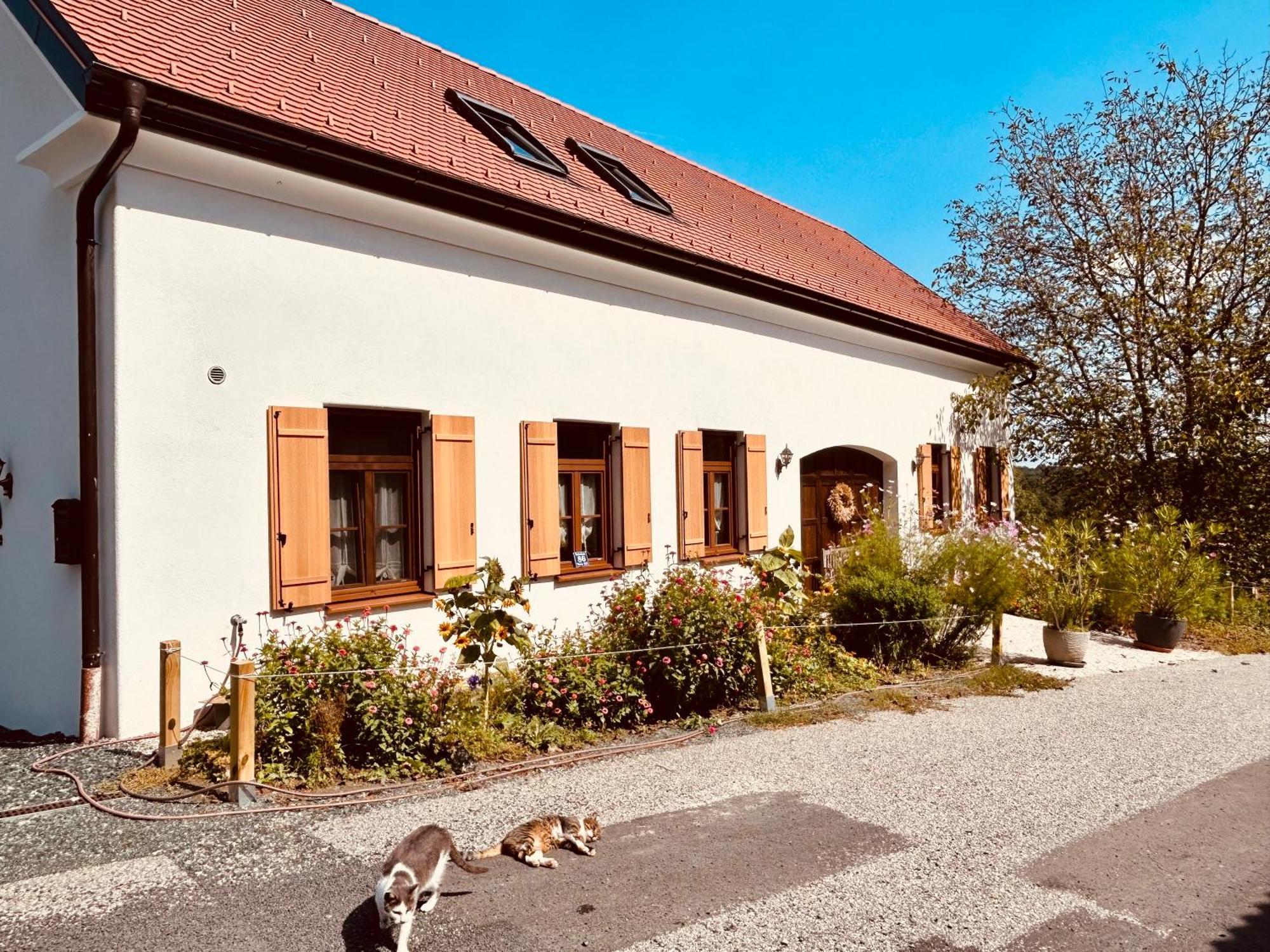 Der Hof Am Wald Villa Weichselbaum Exterior photo